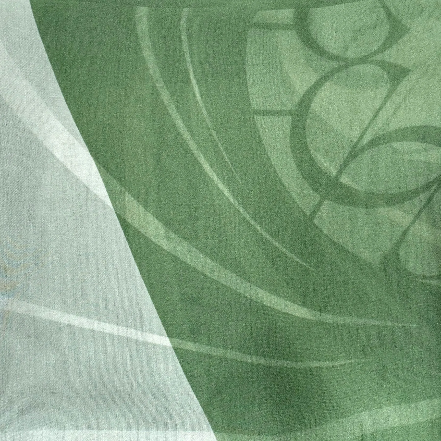 Elie Saab Scarf Green Logo - Chiffon Silk Designer Shawl